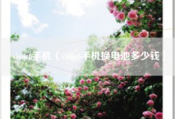 vivos6手机（vivos6手机换电池多少钱）