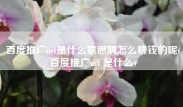 百度推广url是什么意思啊怎么赚钱的呢(百度推广url 是什么)