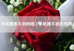 手机搜索不到网络（手机搜不到无线网）