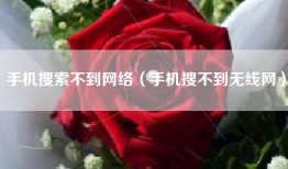 手机搜索不到网络（手机搜不到无线网）