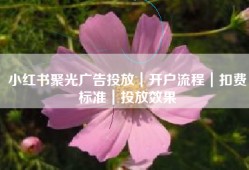 小红书聚光广告投放｜开户流程｜扣费标准｜投放效果