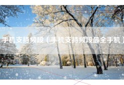 手机支持频段（手机支持频段最全手机）