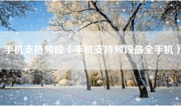 手机支持频段(手机支持频段最全手机)