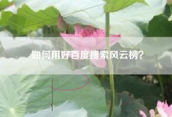 如何用好百度搜索风云榜？