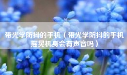 带光学防抖的手机（带光学防抖的手机摇晃机身会有声音吗）