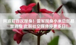 风波后首次现身！雷军现身小米总部略显消瘦 此前社交媒体停更多日！