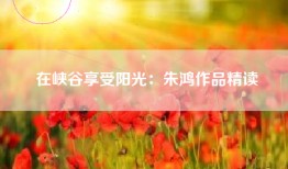 在峡谷享受阳光：朱鸿作品精读