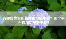 有哪些靠谱的新闻稿投稿平台？哪个平台投稿后见效更快？