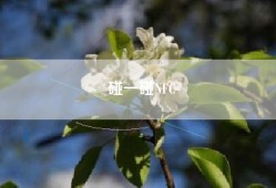 碰一碰NFC