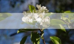 碰一碰NFC