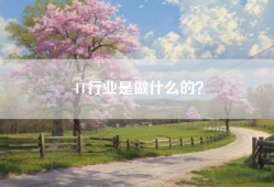 IT行业是做什么的？