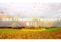 自媒体入门基础知识，了解这些知识才算入门