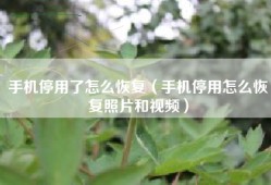 手机停用了怎么恢复（手机停用怎么恢复照片和视频）