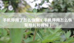 手机停用了怎么恢复（手机停用怎么恢复照片和视频）