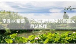 掌握SEO精髓，打造搜索引擎中的高曝光网站教程