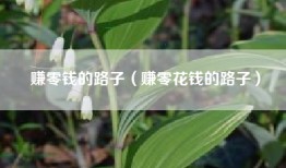 赚零钱的路子（赚零花钱的路子）