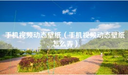 手机视频动态壁纸（手机视频动态壁纸怎么弄）