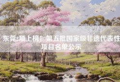 东莞2项上榜！第五批国家级非遗代表性项目名单公示
