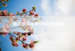 国企数字化转型解读及赋能