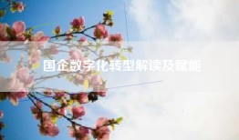 国企数字化转型解读及赋能