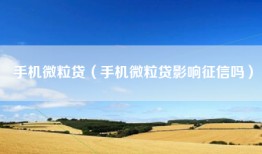 手机微粒贷（手机微粒贷影响征信吗）