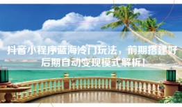 抖音小程序蓝海冷门玩法，前期搭建好后期自动变现模式解析！