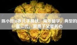 陈小旺30岁儿子现状：海外留学，典型的富二代，浪费了父辈苦心