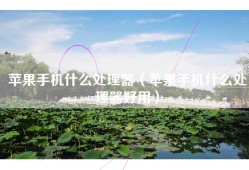 苹果手机什么处理器（苹果手机什么处理器好用）