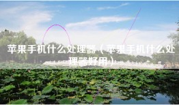 苹果手机什么处理器（苹果手机什么处理器好用）