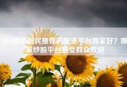 2024良心股民推荐的配资平台哪家好？哪家炒股平台最受群众欢迎