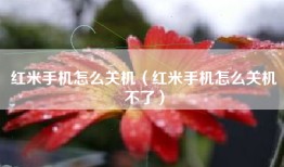 红米手机怎么关机（红米手机怎么关机不了）
