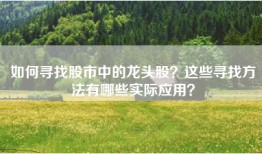 如何寻找股市中的龙头股？这些寻找方法有哪些实际应用？