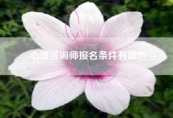 心理咨询师报名条件有哪些