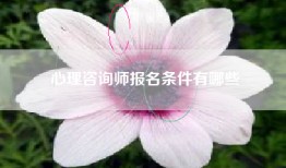 心理咨询师报名条件有哪些
