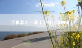 手机怎么三清（手机三清四清）