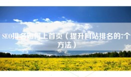 SEO排名如何上首页（提升网站排名的7个方法）