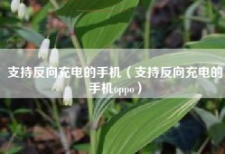 支持反向充电的手机（支持反向充电的手机oppo）