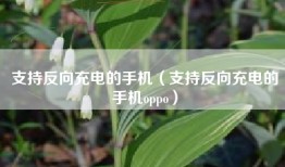 支持反向充电的手机（支持反向充电的手机oppo）
