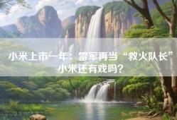 小米上市一年：雷军再当“救火队长”小米还有戏吗？