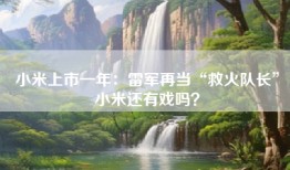 小米上市一年：雷军再当“救火队长”小米还有戏吗？