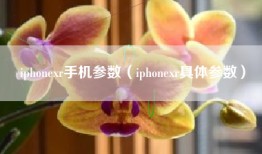 iphonexr手机参数（iphonexr具体参数）