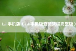 kali手机版（kali手机版安装教程完整版）