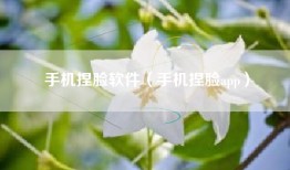 手机捏脸软件（手机捏脸app）