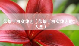 荣耀手机实体店（荣耀手机实体店地址大全）