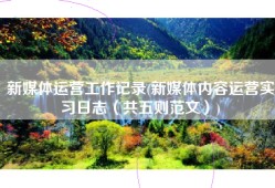 新媒体运营工作记录(新媒体内容运营实习日志（共五则范文）)