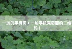 一加的手机壳（一加手机壳后面的二维码）