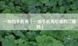 一加的手机壳（一加手机壳后面的二维码）