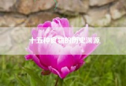 十五种食物的历史渊源