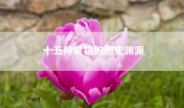 十五种食物的历史渊源