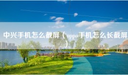 中兴手机怎么截屏(oppo手机怎么长截屏)